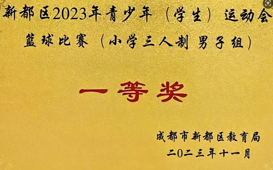 [學校獲獎]2023年11月青少年(學生)運動會籃球比賽 (小學三人制男子組)：一等獎